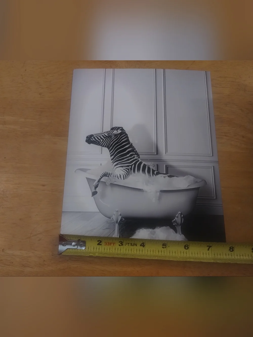 Zebra Bathtub Wall Art Print | Modern Bathroom Decor | Fashion Animal Photograph
